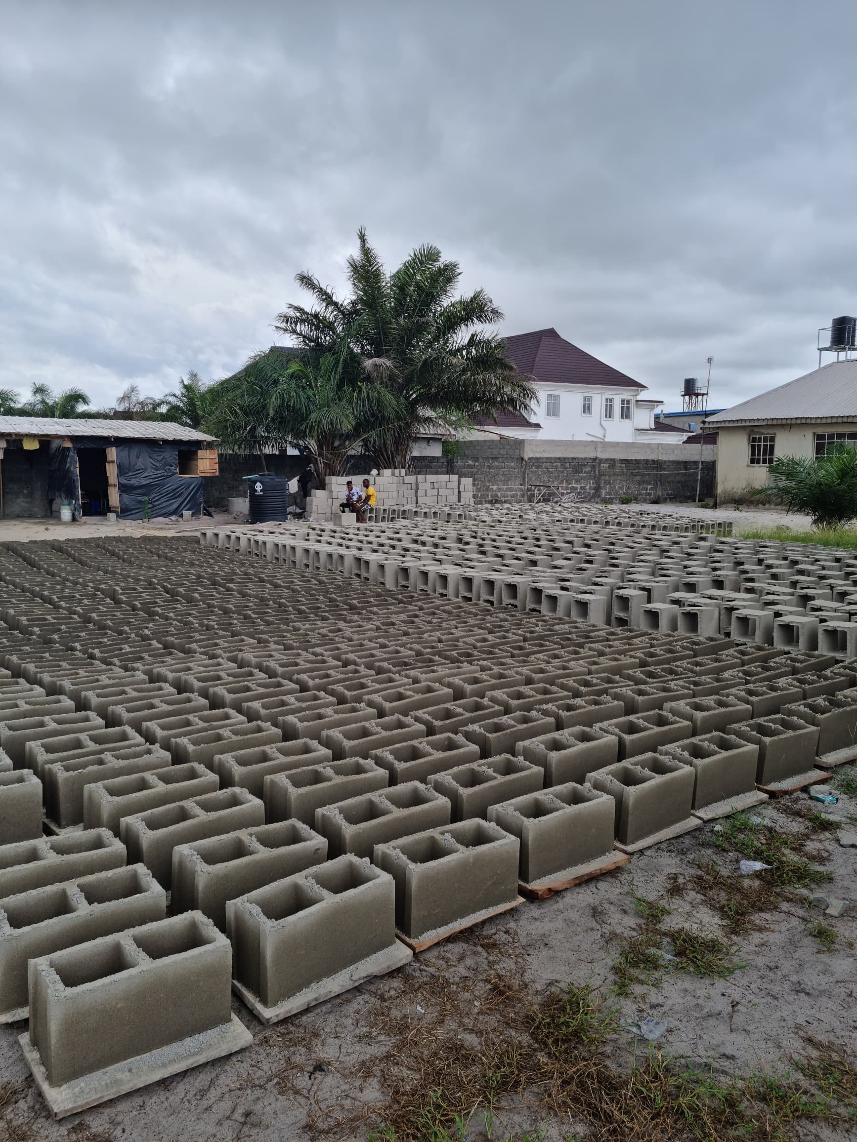 Sandcrete blocks curing on site